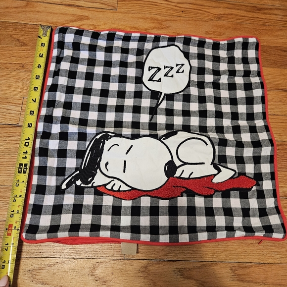 Pottery Barn Teen PEANUTS Pillow Sham Cases Pair (2) - Picture 14 of 15